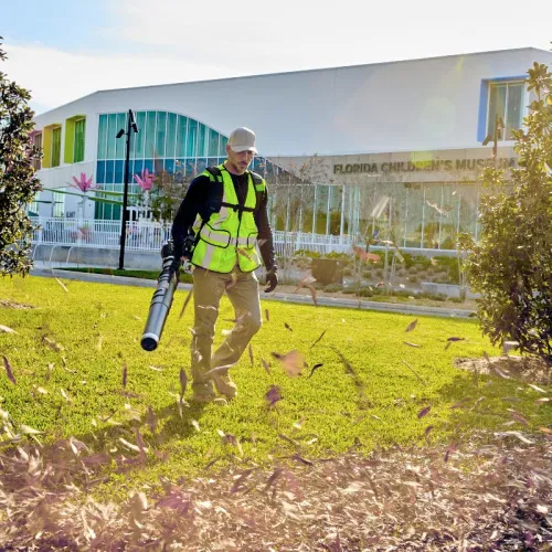 Воздуходув ранцевый Greenworks GD82BP2 82V 2408307 бесщеточный аккумуляторный — детальное фото