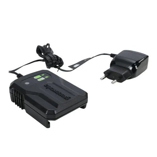 Зарядное устройство-слайдер 2А Greenworks G24UC2 24V 2946207 — детальное фото